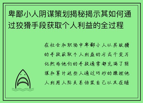 卑鄙小人阴谋策划揭秘揭示其如何通过狡猾手段获取个人利益的全过程