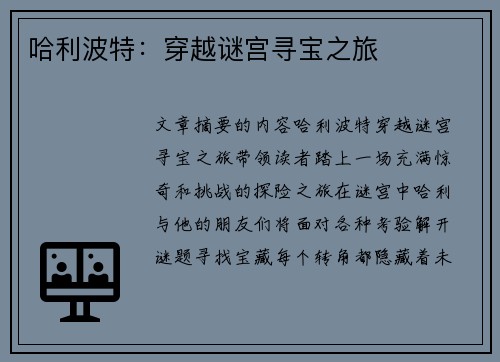 哈利波特：穿越谜宫寻宝之旅